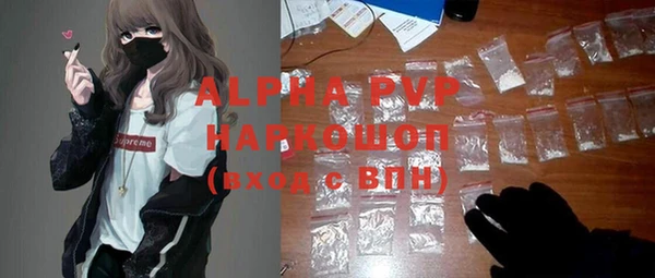 СК Надым
