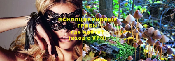 ПСИЛОЦИБИНОВЫЕ ГРИБЫ Наволоки