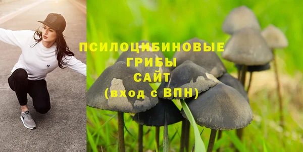 ПСИЛОЦИБИНОВЫЕ ГРИБЫ Наволоки