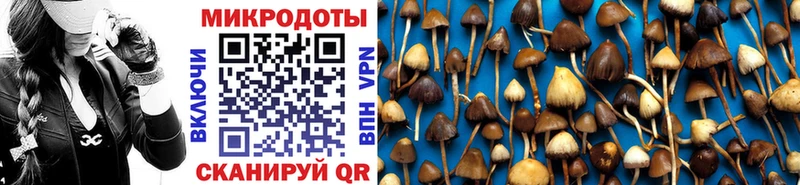 Галлюциногенные грибы GOLDEN TEACHER hydra Симферополь сколько стоит